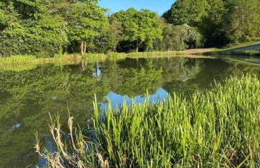 Barlow Country Club - Mill Farm Cottages - Foto 25