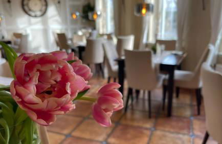 Ferienbungalow Oase - Foto 25