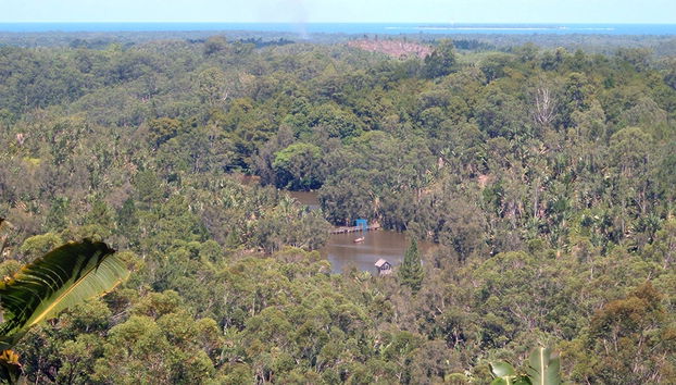 Parque Ivoloina y Visita a la Ciudad - Foto 2