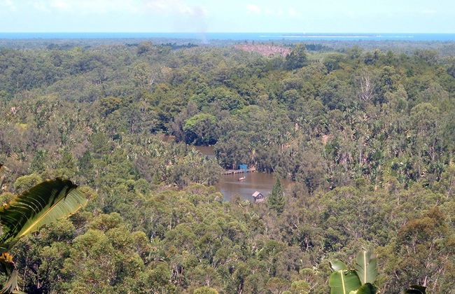 Parque Ivoloina y Visita a la Ciudad - Foto 2