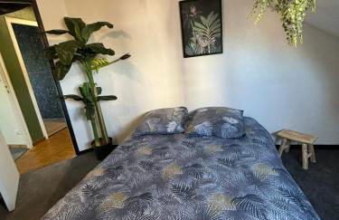 Jungle Cosy - Foto 37