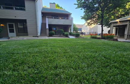 Cozy Comfy and Peaceful Oasis Getaway with Porch - Photo 14