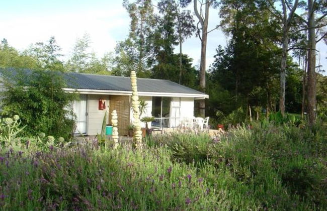 Bay of Islands Holiday Park - Foto 34