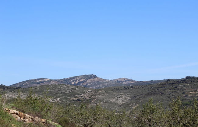 Aldea Ecorural - Foto 34