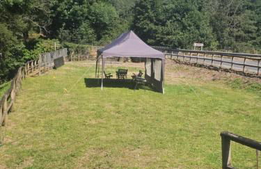 Valles del Narcea, Apartamentos Rurales - Foto 2