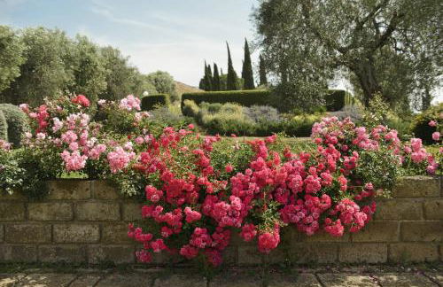 Tenuta di Poggio Cavallo - Foto 22