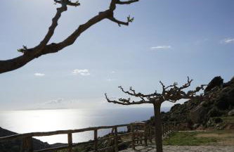 by karakas Γαστρί - Foto 21