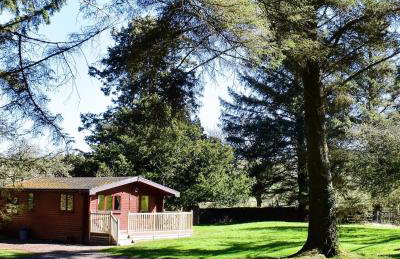 Secluded Pine Lodge 2 - Foto 10