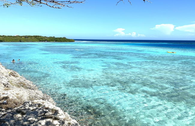 Ocean Front Villa in Aruba - Stunning Full House - Photo 20