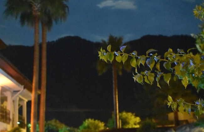 Sardunya Apart - Photo 22