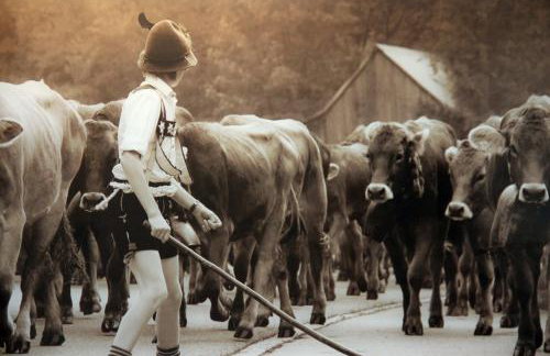 Ferienwohnungen Vogler - Foto 69