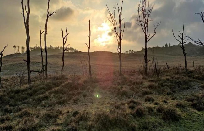 Elite Holiday Home in North Holland near Forest - Foto 28