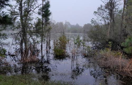 Three-Bedroom House in Clear Creek - Photo 38