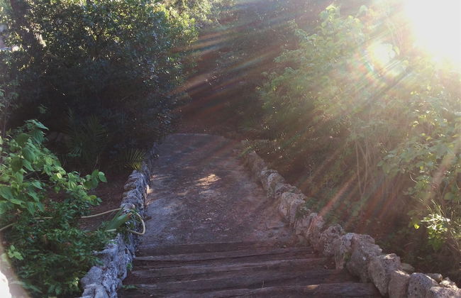 Dépendance in Villa Karmel - Photo 20