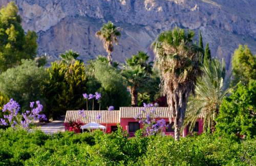 La Joya del Valle de Ricote - Foto 4