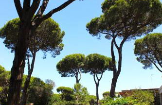 Residence delle Nazioni - Foto 38