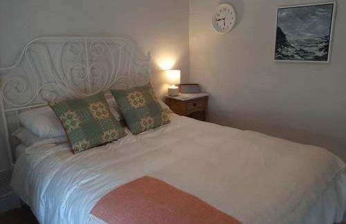 Selah Teifi spectacular river view with games room - Photo 15