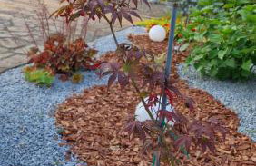 Apartments Mihael and Melani - Foto 16