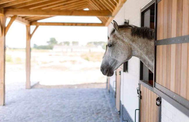 Lady - Lovely Double Room at Ranch De Blauwe Zaal - Foto 20
