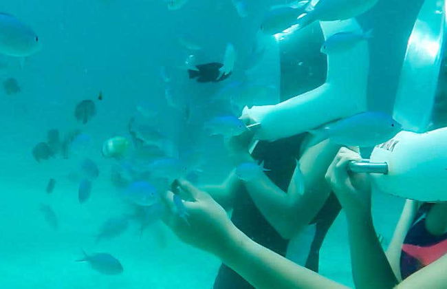 Seawalking a Boracay - Foto 1