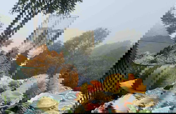 Cabane Tiny Tree House no4 - Foto 63