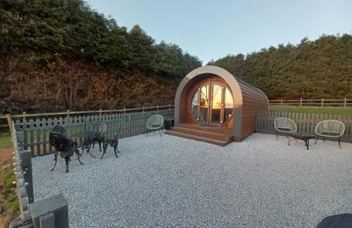 Parcglas - Hazel - Photo 11