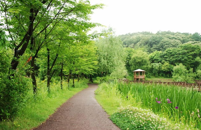 Haeyeorim Village - Foto 46