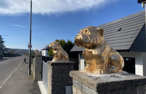 Lazy Bulldog - Foto 14