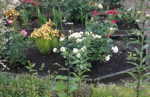 Gästehaus am Teich - Foto 38