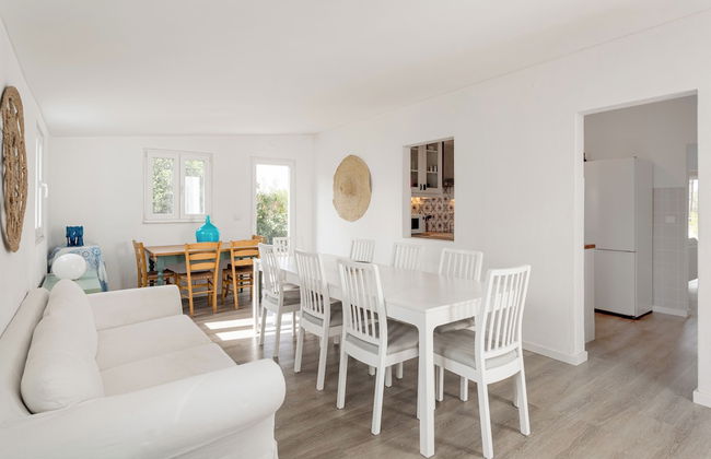 Pinhal da Praia em Melides - Foto 24