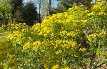 Apartamenty Leszczynowa 7 blisko Zatora - Foto 47