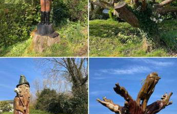 Caban Croeso-The Welcome Cabin, Holiday let, near Mansion House Llansteffan - Photo 26