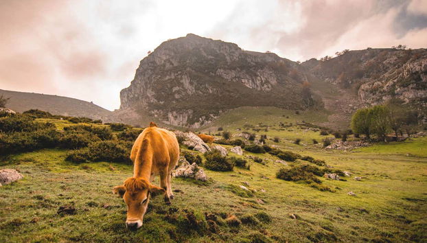Paysage de la Principauté des Asturies