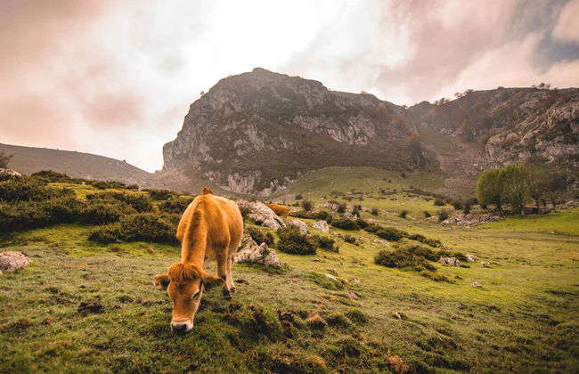Excursión a los lagos de Covadonga y Cangas de Onís - Foto 2
