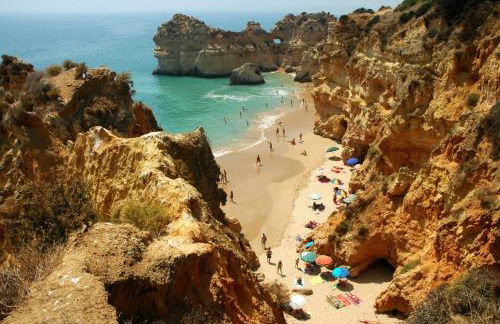 Mel&Laranja - Foto 3