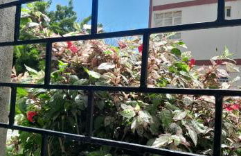 sossego urbano - Photo 6