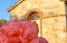 Armonia Guesthouse - Foto 31