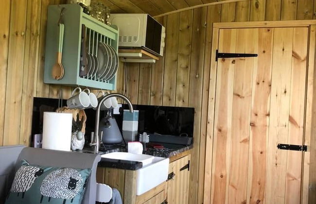The Shepherds Hut at Hafoty Boeth - Foto 6