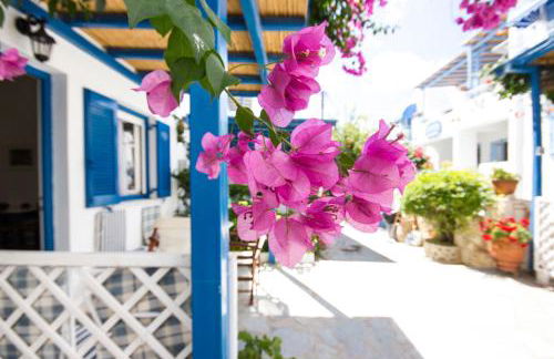 George's beach studios Aliki Paros - Photo 28