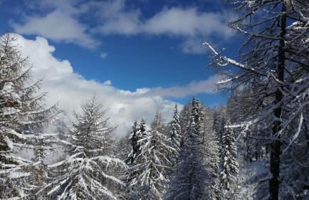 Apartment Ski Marilleva 1400 - Foto 32