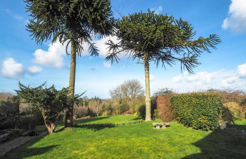 Y Gegin Fach Cardigan - Photo 20