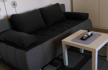 Studio Apartman Ždral - Foto 9