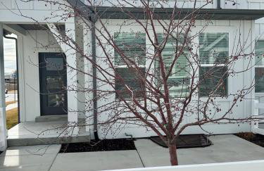 Great Location Sleeps 8 with 5 Beds and 3 Baths - Foto 10