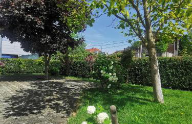 Apartmani Jastreb - Foto 13