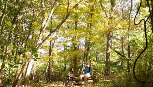 Biker Hiker friendly 3 bedroom by Strouds Run State Park - Foto 4