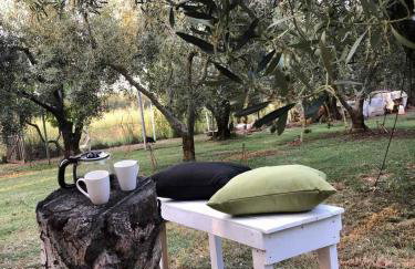 Green Olive Studios 2 - Foto 44