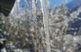 Mazot Hirondelle - Photo 25