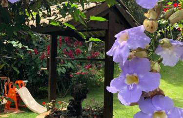 Chalet Schönenberg - Foto 19