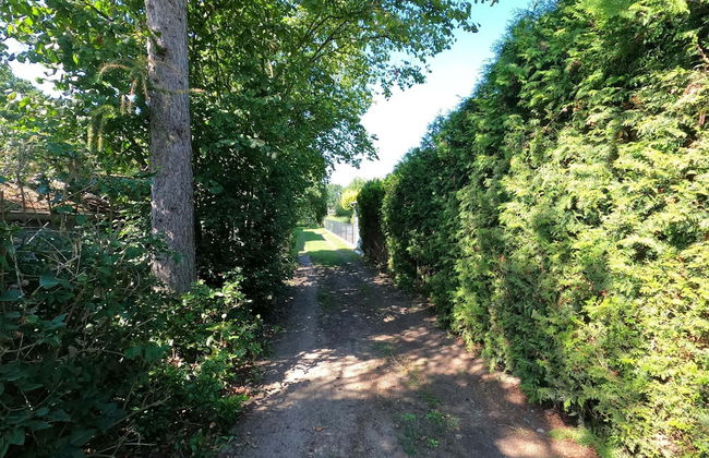 Holiday Home, Luebben - Foto 47