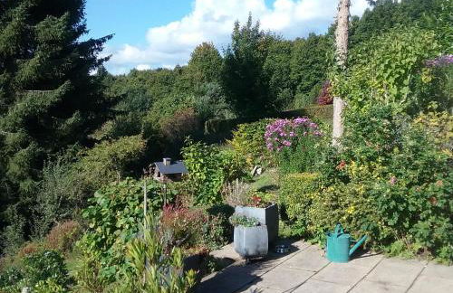 Perlenbachtal - Foto 24